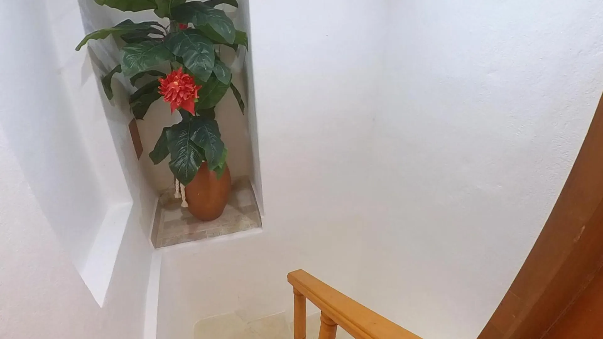 Apartment Cancun Plaza Sea View